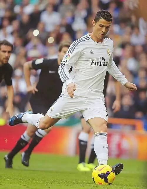 这无疑成为 这无疑成为