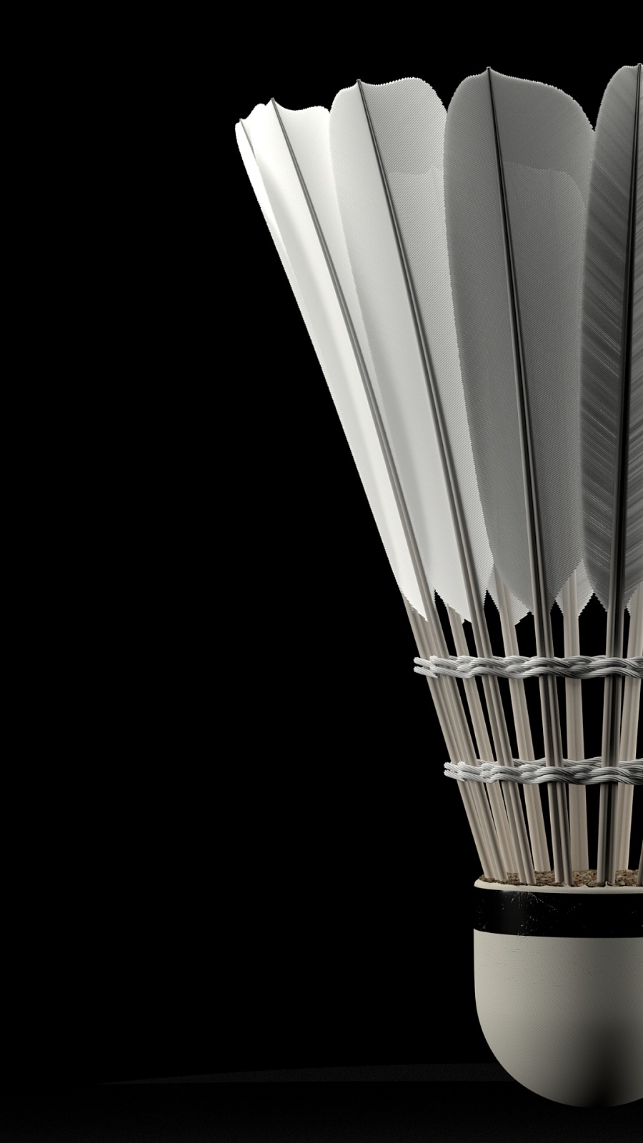 的投篮机会 的投篮机会