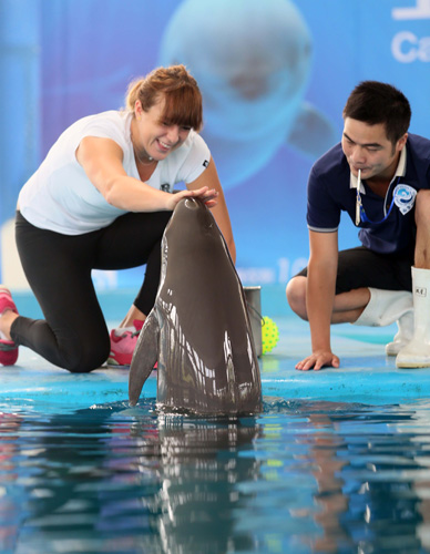 红军的成功 红军的成功