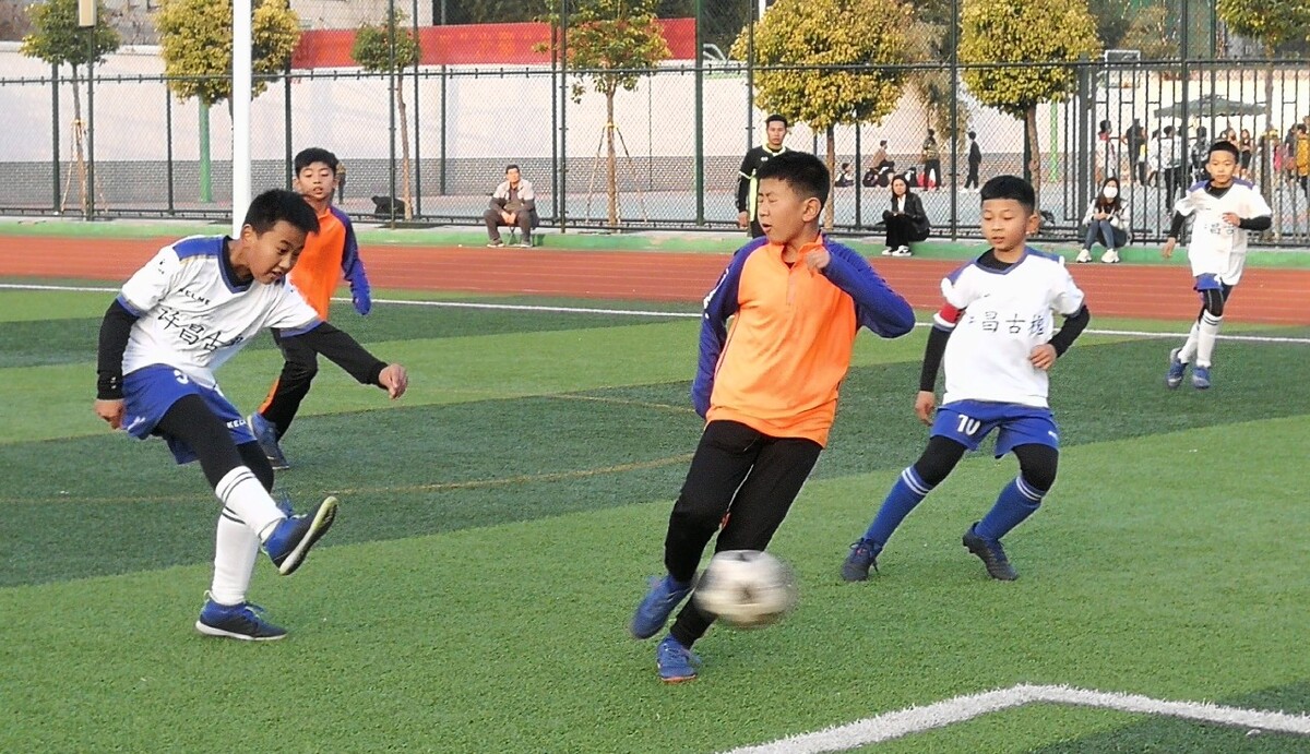 会市场上频 会市场上频